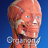 3D Organon Anatomy 3 Portable Free Download