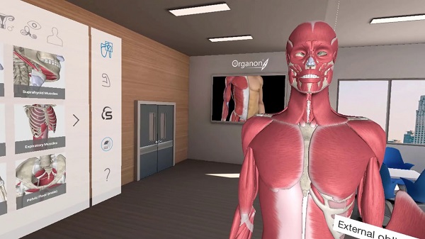 Download 3D Organon Anatomy 3 Portable
