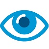CareUEyes Pro 2027